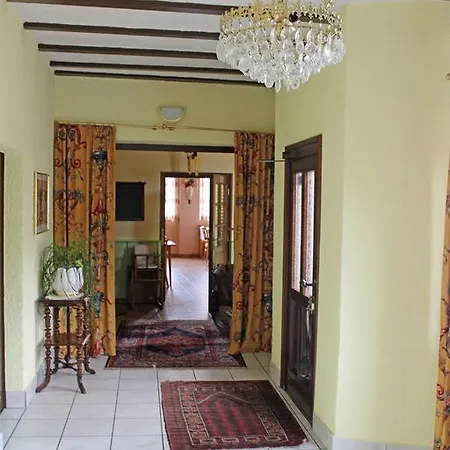 Altes Schulhaus 招待所